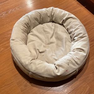 Dog bed that is alittle stained and ripped up but what dog doesn’t do that